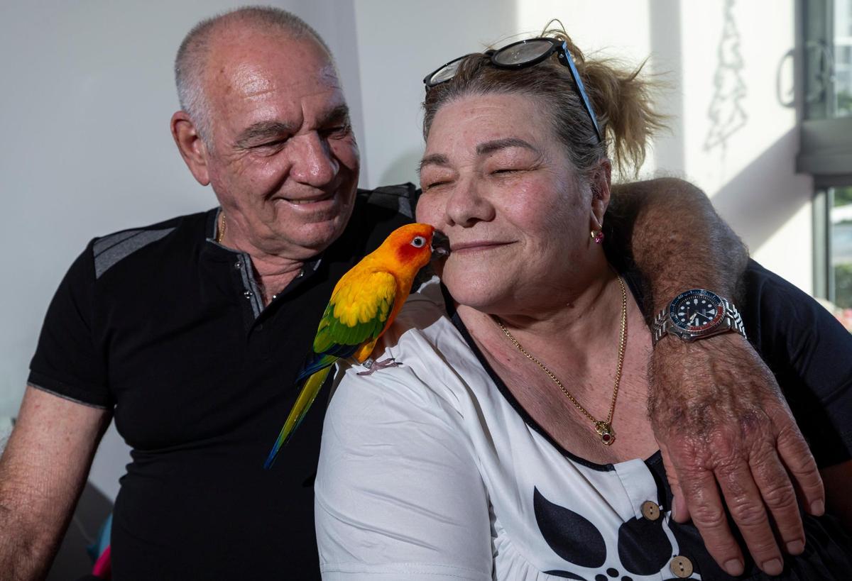 Milagros Mesa, de 68 años, quien usa un scooter eléctrico para moverse debido a la polio desde la infancia, su esposo, Fidel Valdes, de 65 años, y su loro, Cuki, en su nuevo apartamento el 19 de noviembre de 2024, en Miami. La pareja fue desplazada a principios de este año cuando Temple Court Apartments, donde vivían, se incendió y fue demolido.