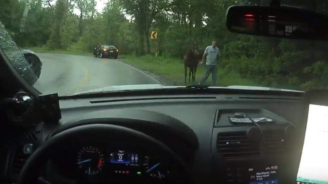 ‘Who takes a getaway horse to a robbery?’ Florida man on horseback burglarizes home