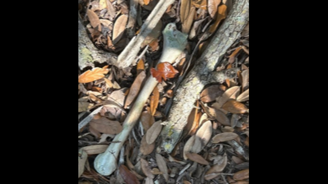 DNA will be used to identify the person and detectives are working toward identifying a cause of death.