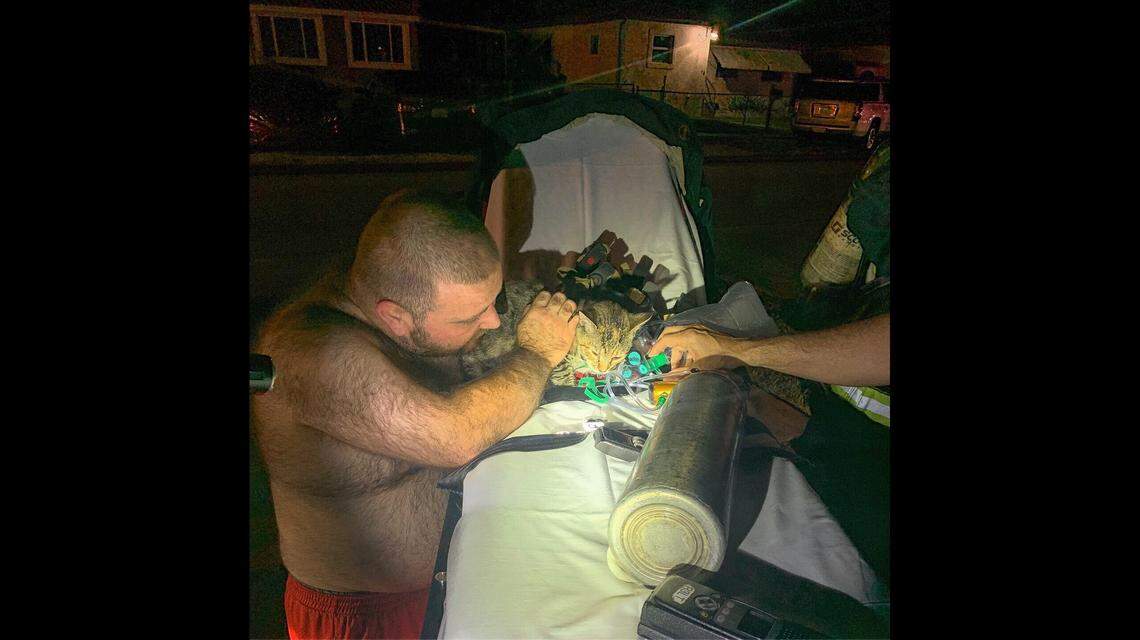 A man was reunited with his 14 cats and one dog after his home caught fire in Hialeah.