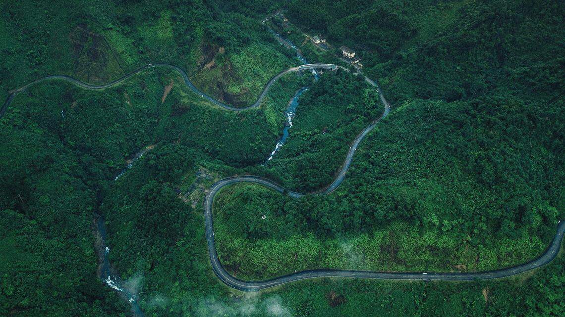 In the mountain reserves of Vietnam, rare species made an appearance on researchers’ trail cameras.