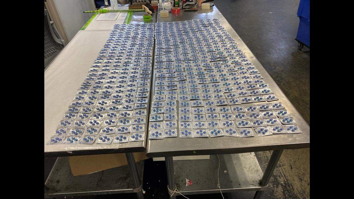 What U.S. Customs and Border Protection say are sheets of fake Viagra.