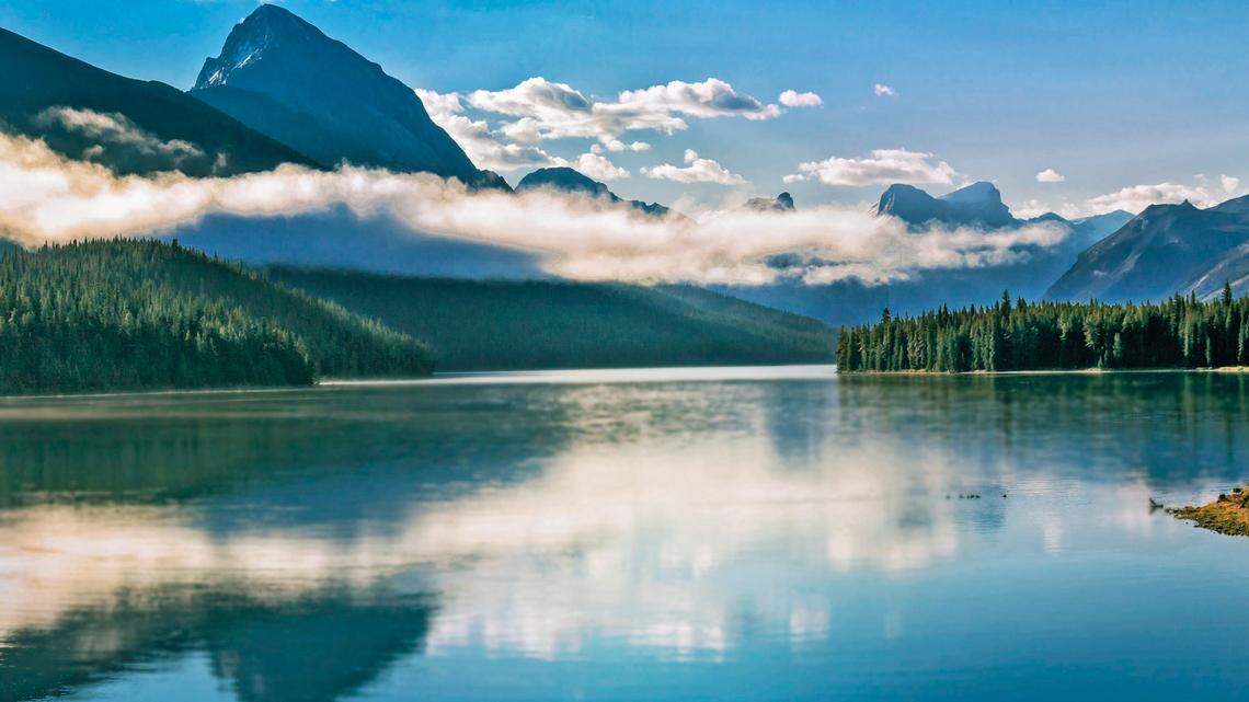 Vincent Bouchard was heading home to Edmonton after a backpacking trip when he found a surprise passenger in his car, he said.