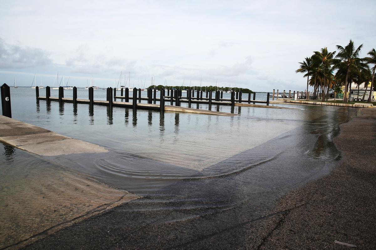 King Tides during high tide Tuesday morning, Oct. 9, 2018 didn’t cause remarkable flooding at Crandon Park Marina on Key Biscayne Tuesday morning. The entrance to the docks by the boat ramp were flooded and part of the parking lot, but otherwise the area didnâ€™t suffer much flooding.