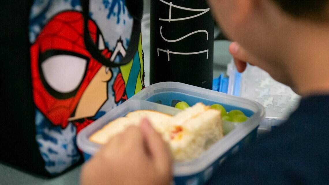 Bill would pull ultra-processed foods from Florida schools. Lobbyists are pushing back