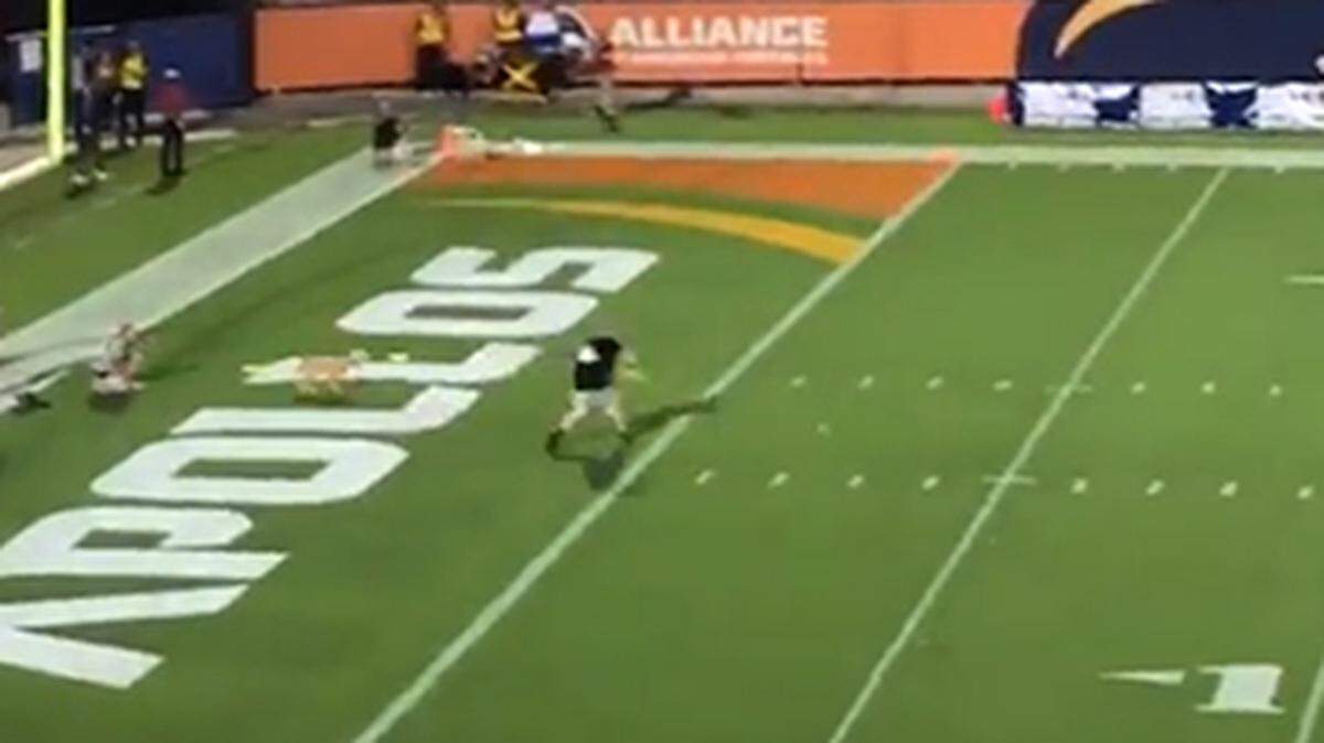A dog named Eurie caught Gary Dukes’ 83-yard frisbee toss for a world record during halftime of Saturday’s Orlando Apollos’ Alliance of American Football league game at UCF’s Spectrum Stadium.