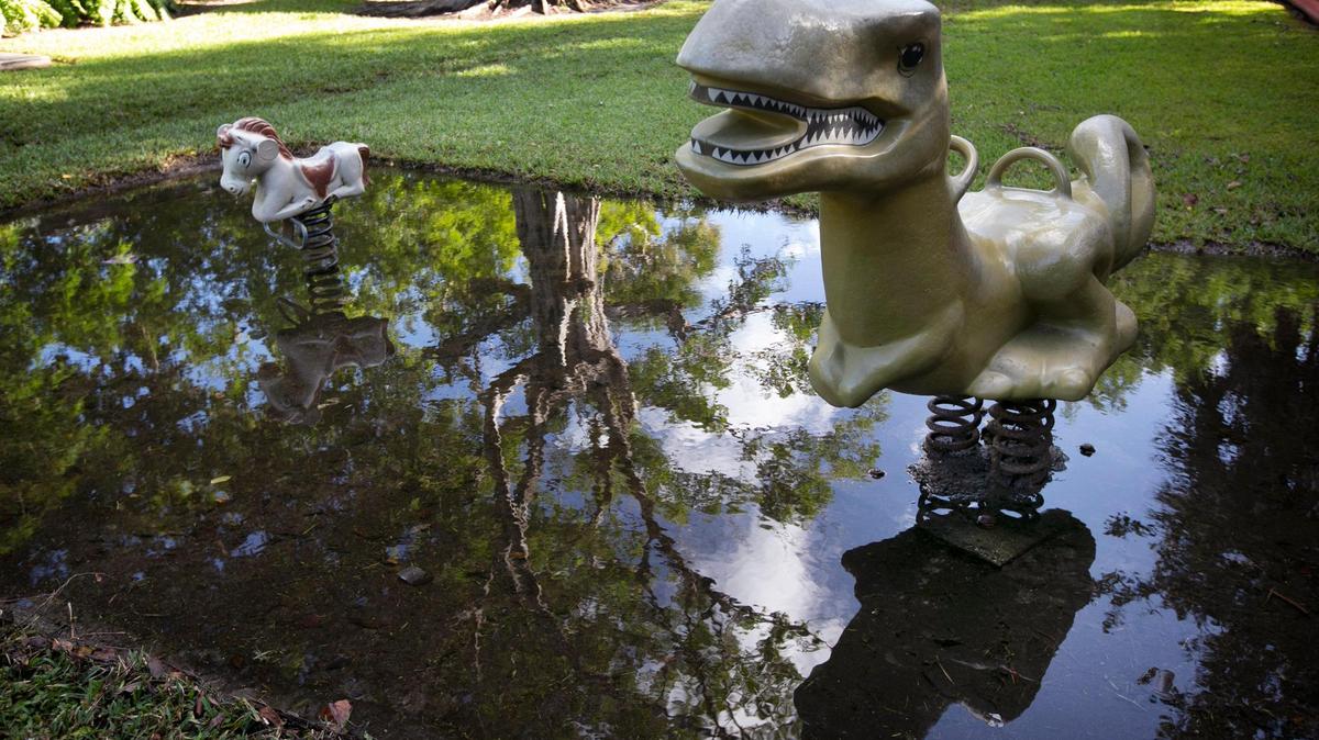 No children were playing on the dinosaur or pony ride at the Little River Pocket Mini Park Tuesday afternoon, Nov. 9, 2021, after the park was flooded with King Tide waters. This type of flooding could be much more common in the future as sea levels rise.