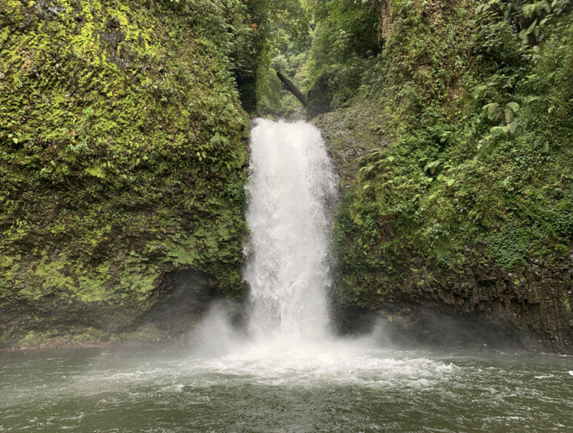 Tahiry Langrand/Re:wild