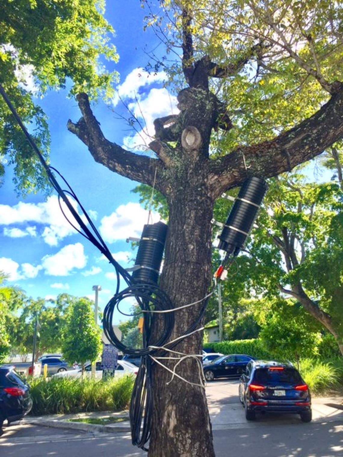 lrobertson@miamiherald.com