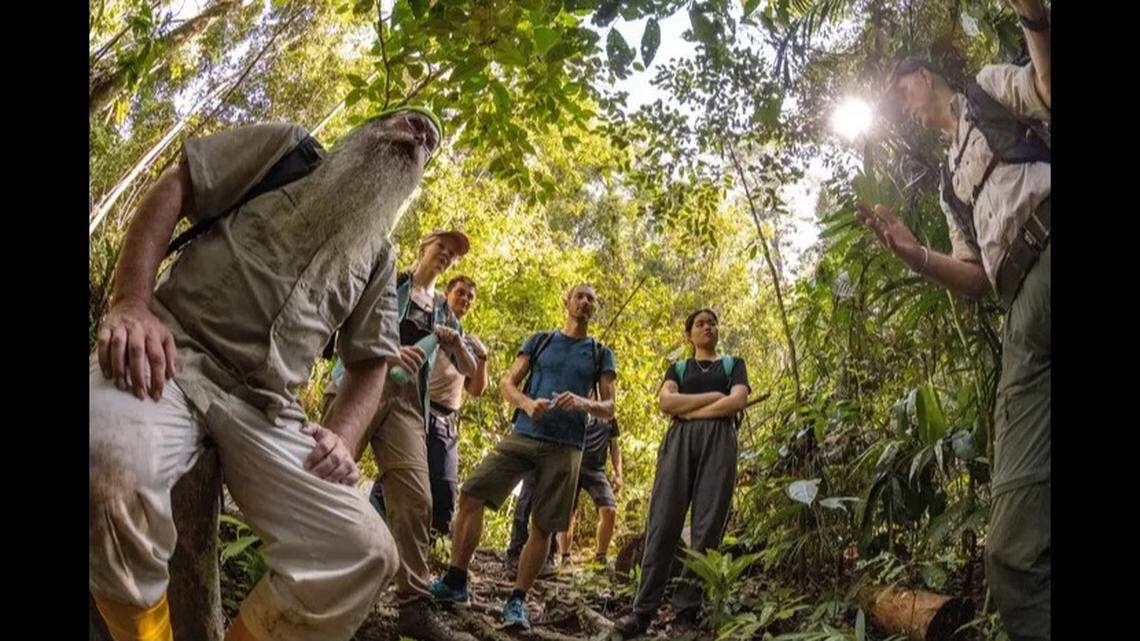 A group of citizen scientists, students and nature enthusiasts were led through the rainforests of Brunei to search for undiscovered species.