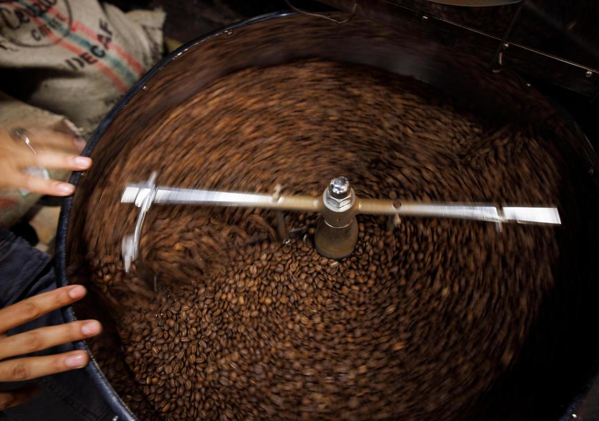 Didier Higuita, a fourth-generation coffee grower from Colombia, roasts coffee beans during the morning on Tuesday, Feb. 18, 2025, at Macondo Coffee in Doral, Florida. The coffee beans come to the shop green, fresh and unroasted, and then all roasted at the Doral shop. This way, the taste is the same across all the Macondo’s in Florida.