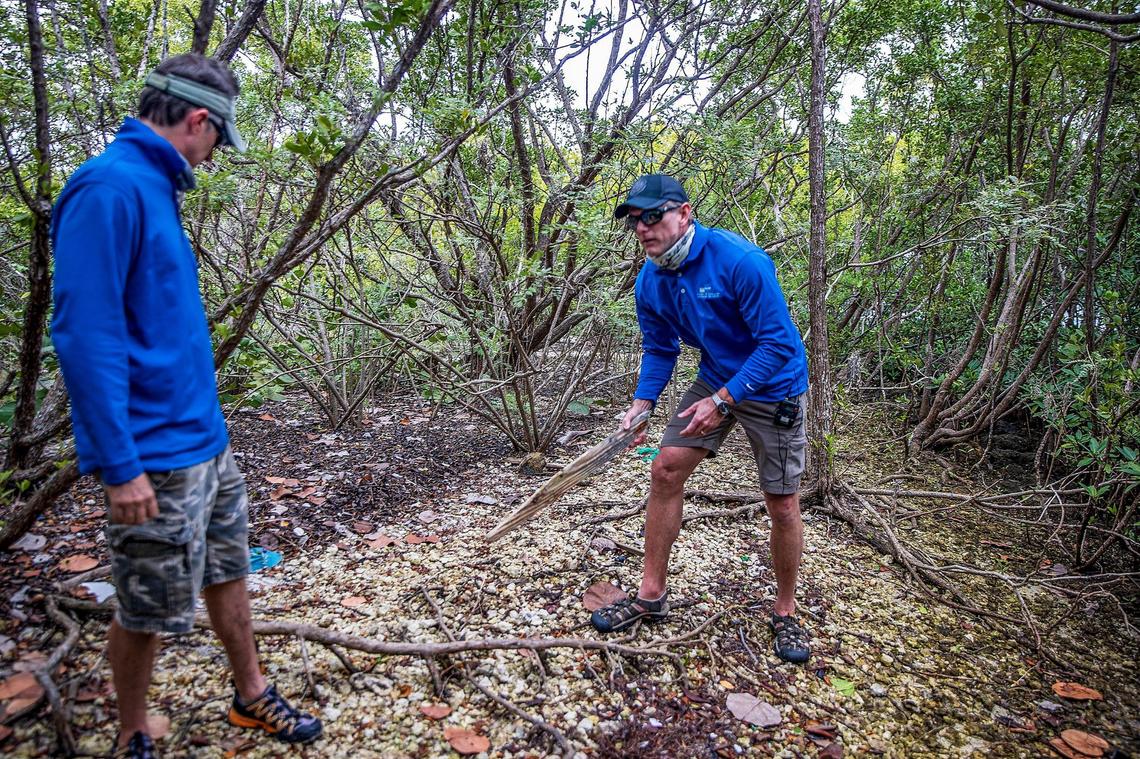 Josh Mahoney, right, a resources project supervisor and biologist Jonathan Sidner with the Department of Environmental Resources Management (DERM) visit Crescent Island B, part of the county’s former living shorelines projects on Biscayne Bay on January 26, 2022.