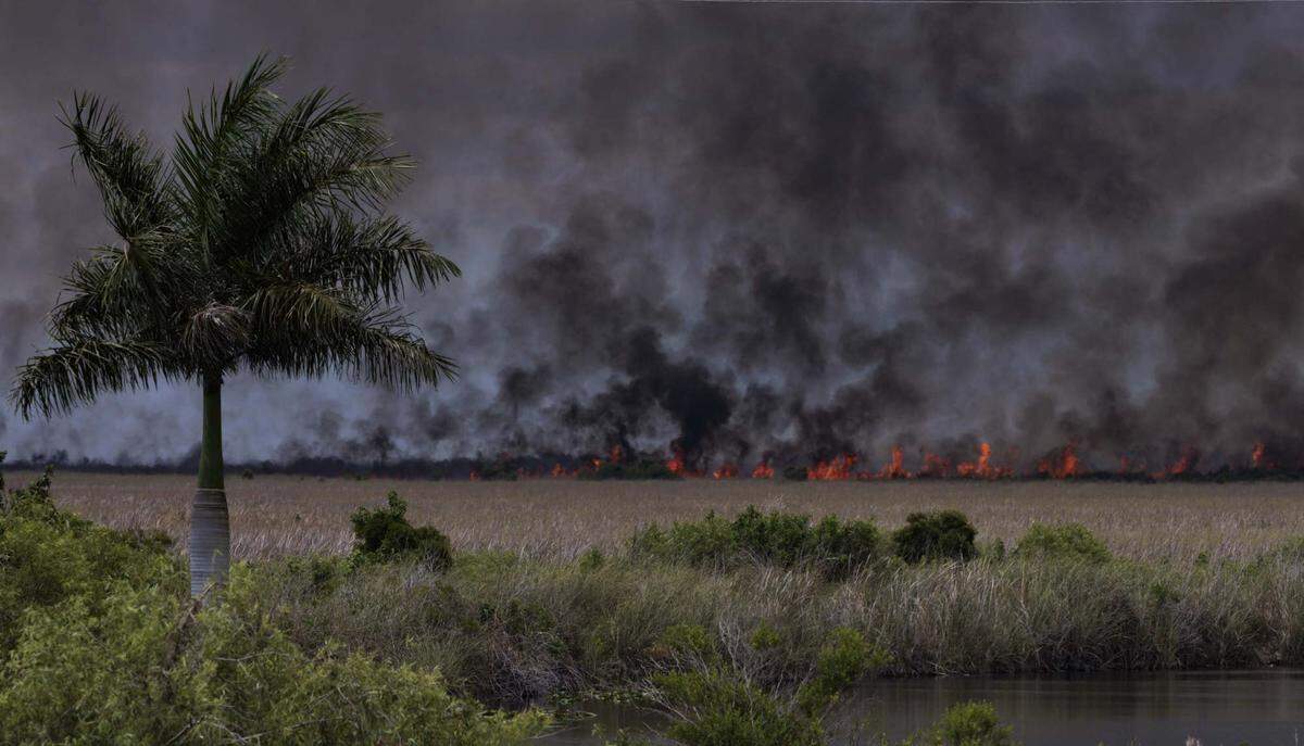 A wildfire burns west of Weston into the Everglades on Monday, May 11, 2026, seen from Everglades Holiday Park in Fort Lauderdale, Fla.