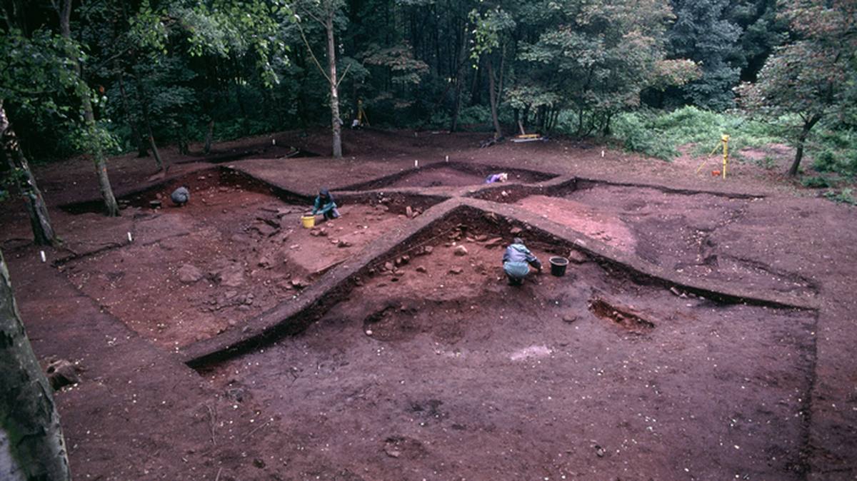 Archaeologists studying bone fragments from a Viking cemetery in Heath Wood identified animals brought from Scandinavia, study says.