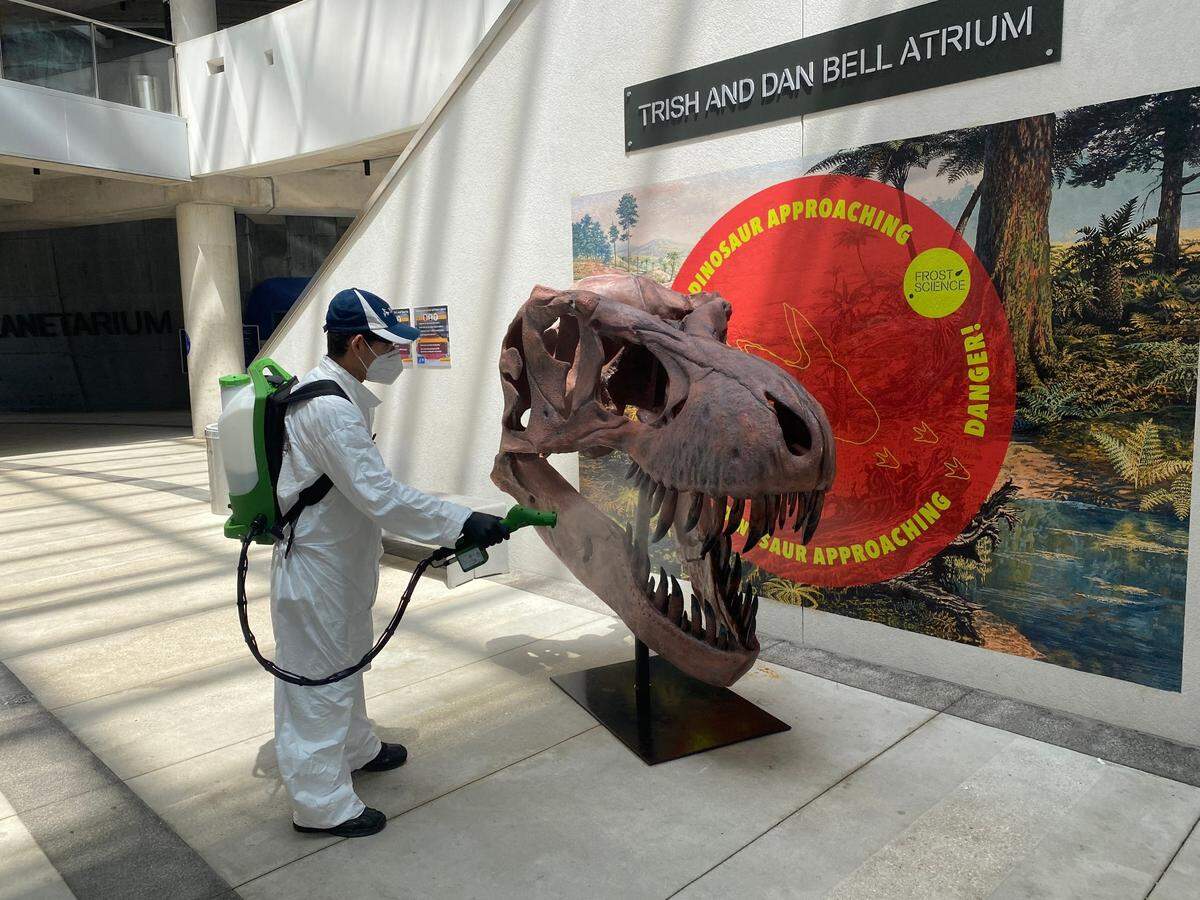 A crew member carries out intensive sanitizing of a dinosaur skull exhibit at the Frost Museum of Science, which reopened to visitors in June after a three-month closure prompted by the COVID-19 pandemic.