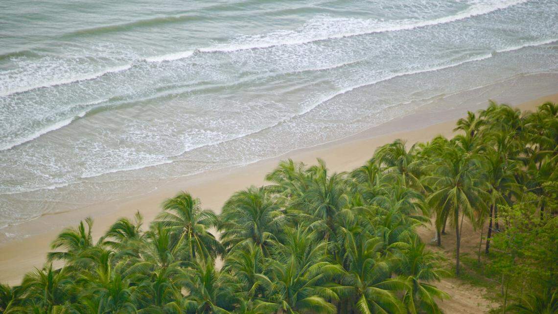 Scientists found a “peculiar” butterfly on Hainan Island in China and discovered a new species, according to a study.