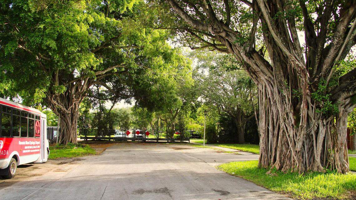 The City of Miami Springs will reign in ‘immoral behavior’ along a five-block stretch of Northwest 36th Street with a series of eight-foot fences.