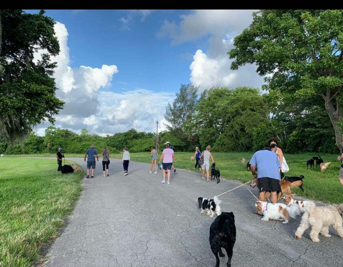 Dog owners attended a weekend rally at West Matheson Hammock Park to protest closure of the north entrance.