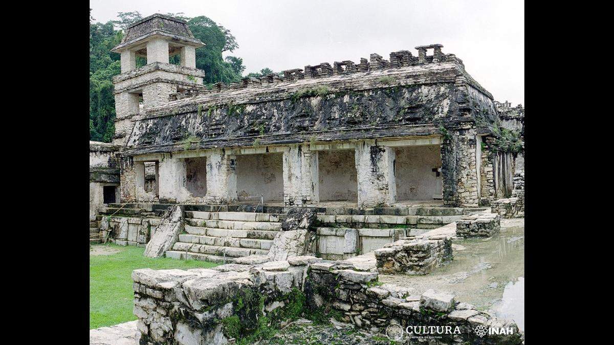 The bone nose ring was unearthed from the Archaeological Zone of Palenque in Chiapas, Mexico, according to officials.