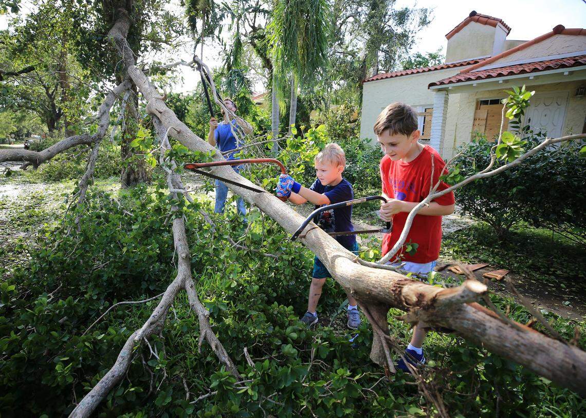 Mason Coulter, 6, and Evan Coulter, 8, cut a broken tree limb in their neighborhood as they help clean up their street in Coral Gables after Hurricane Irma on Monday, September 11, 2017.