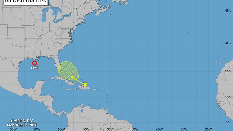 A new tropical depression in the Gulf. Plus, another system could douse Florida