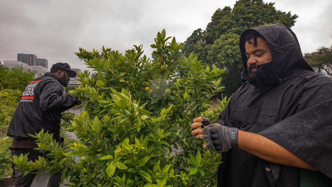 This organization creates urban farms to help residents of Miami’s fresh-food deserts