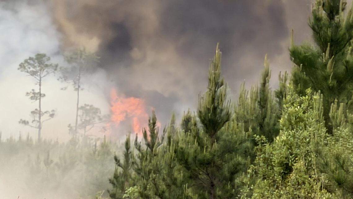 brantley county fire georgia wildfire