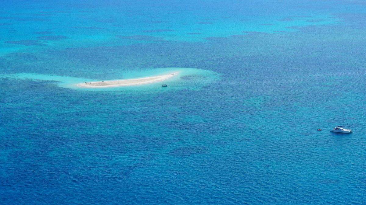 On a cay in the Great Barrier Reef, a critically endangered sea creature was rescued, allowing her to lay her eggs.