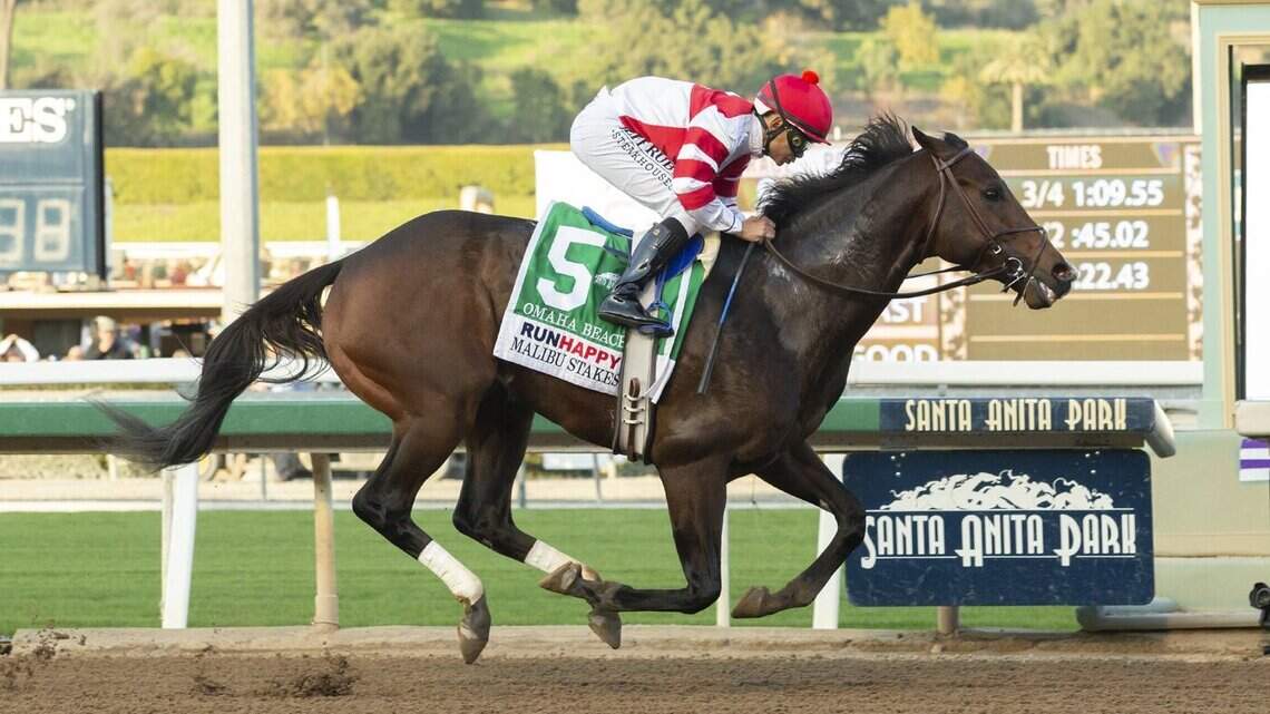 Omaha Beach made the 7-5 favorite to capture the Pegasus World Cup at Gulfstream Park