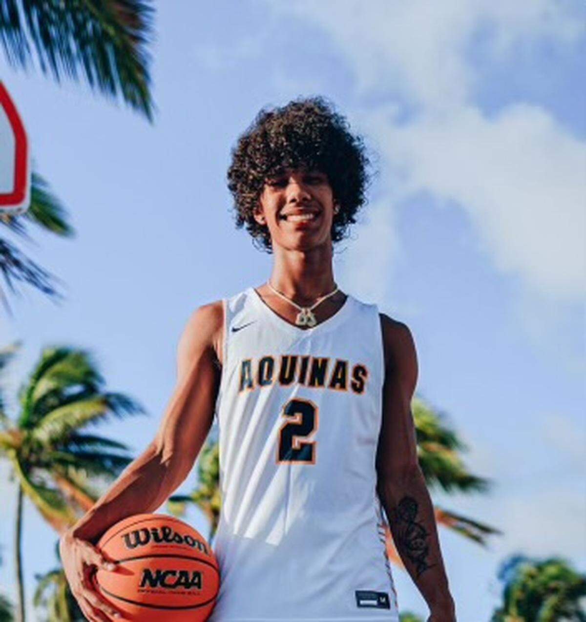 Drake Sandi, St. Thomas Aquinas