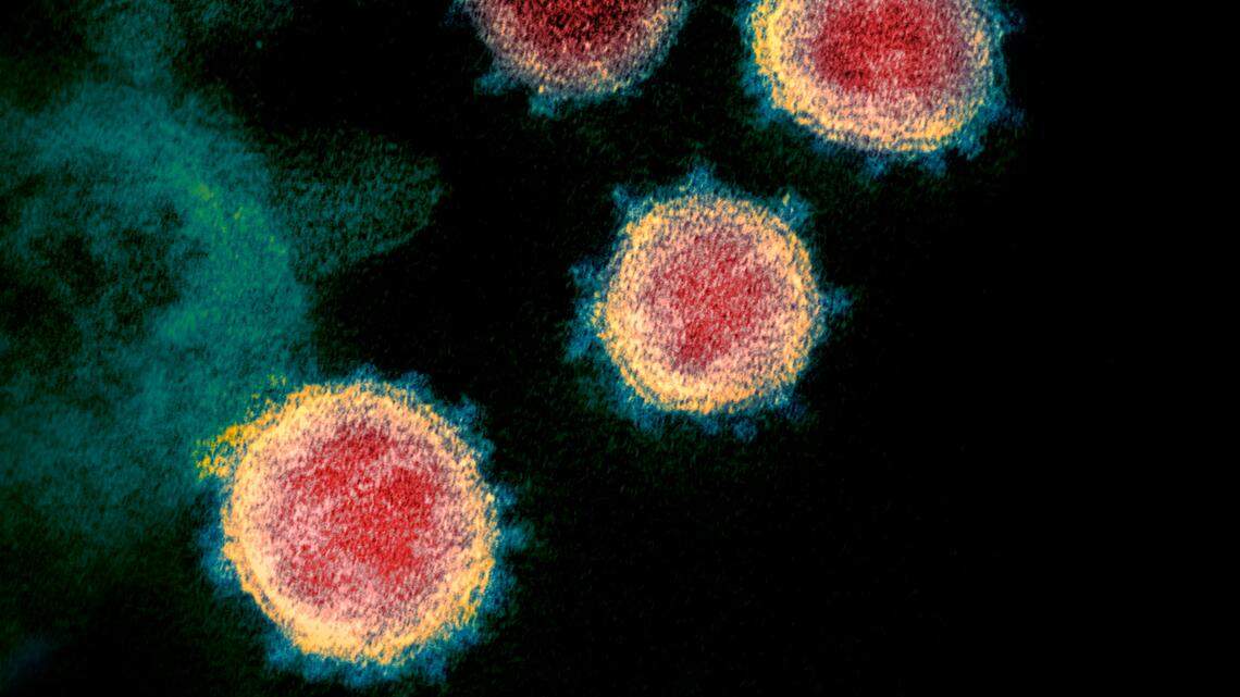 COVID for 471 days: Cancer patient had virus evolve three times in body, study finds