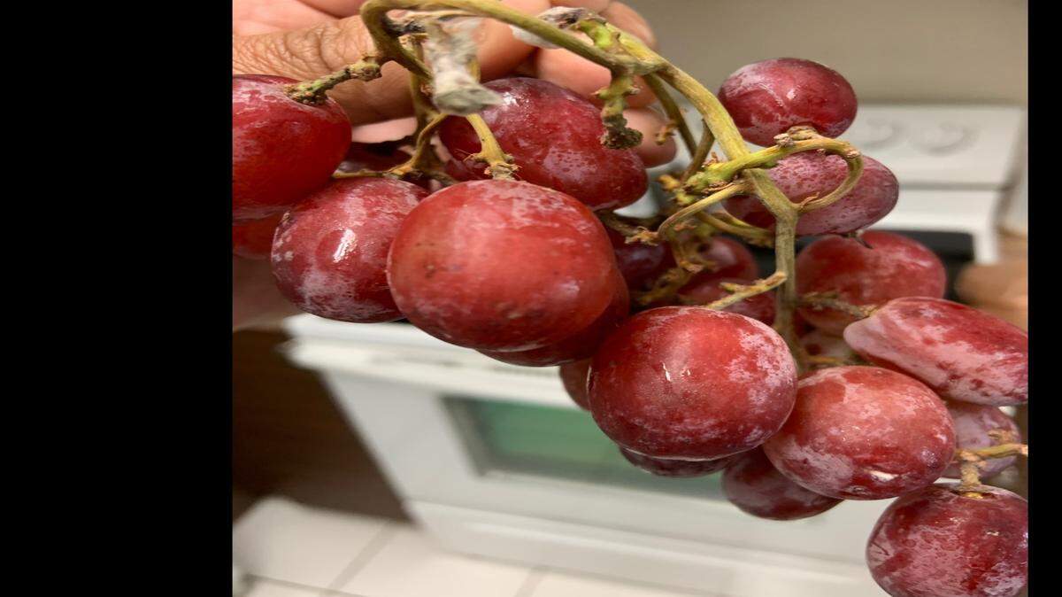 Moldy grapes are nasty.