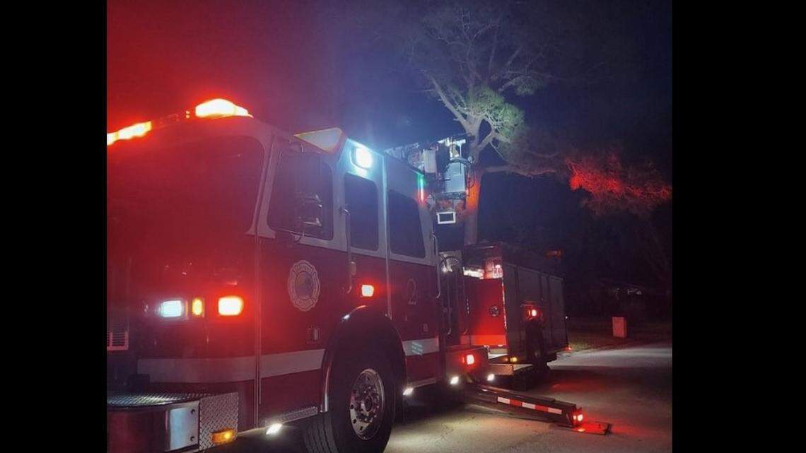 A kitten stranded for three days in a tree was rescued by Daytona Beach fire crews