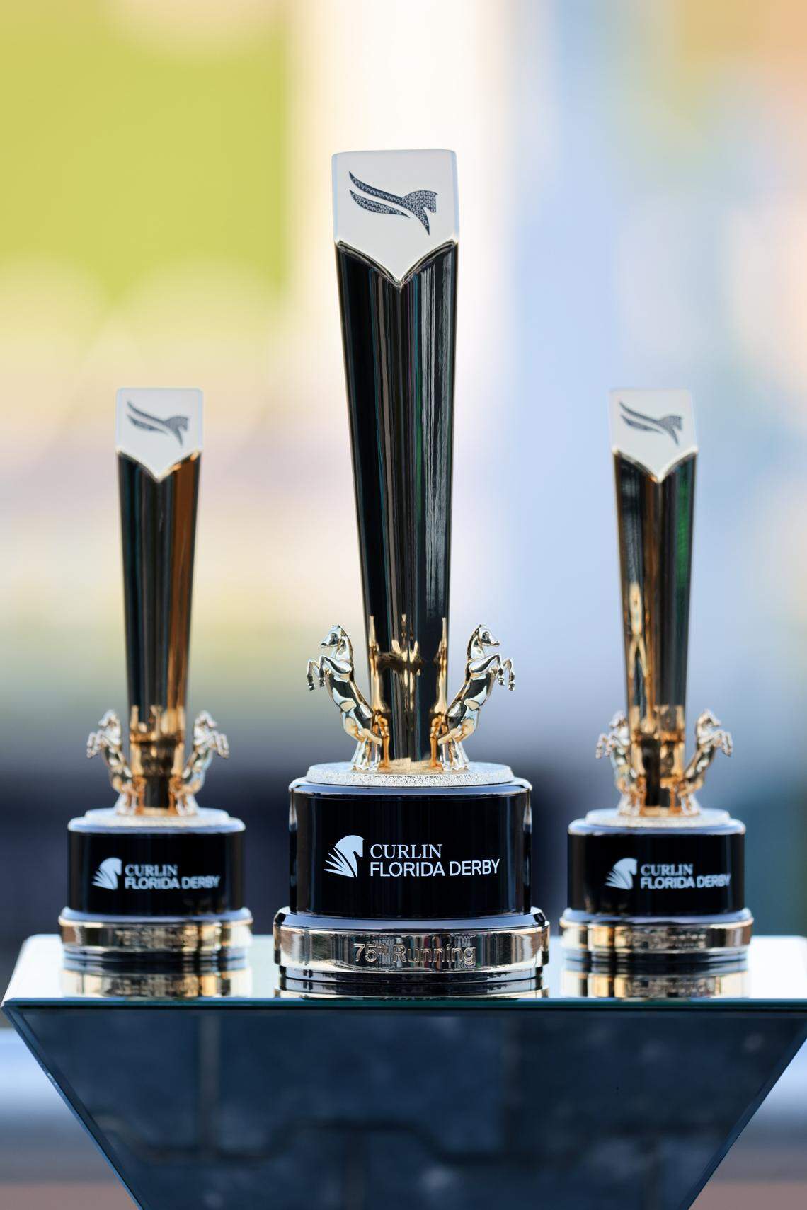 A view of the winners trophy prior to the running of the 75th Curlin Florida Derby race at Gulfstream Park on March 28, 2026, in Hallandale, Florida.
