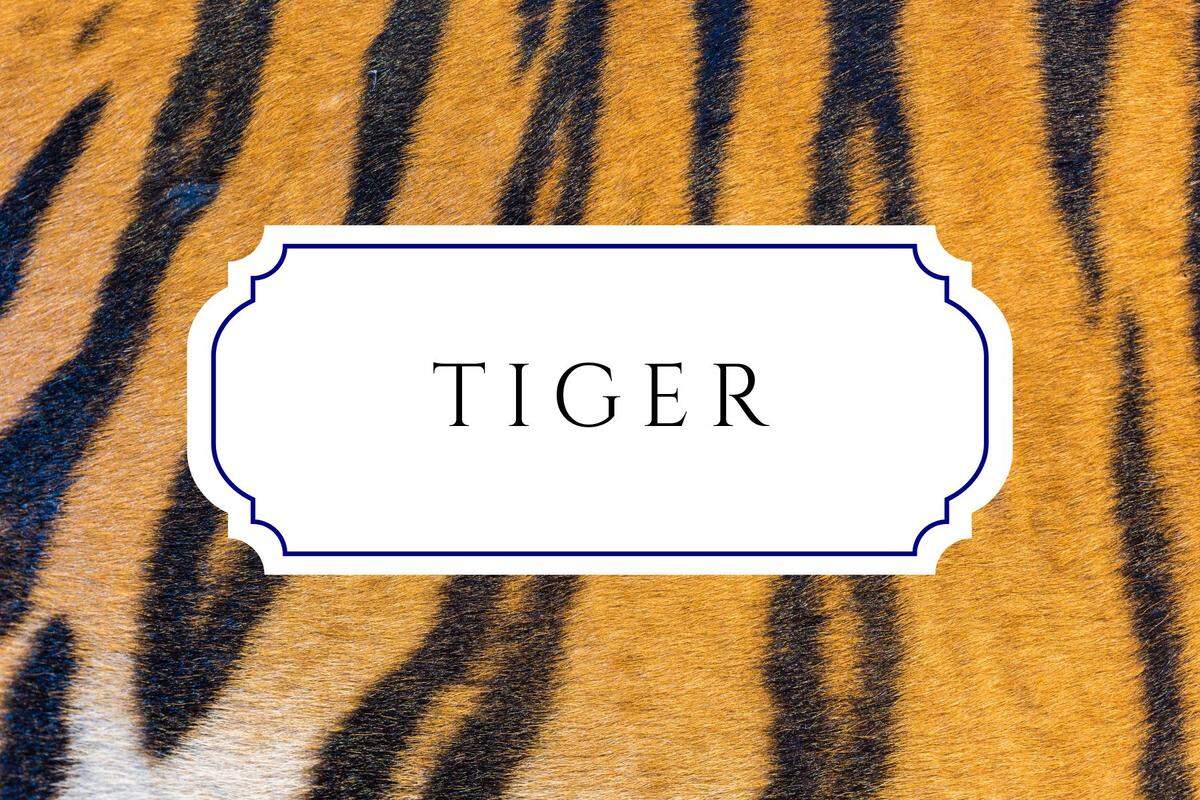 unique nature names tiger
