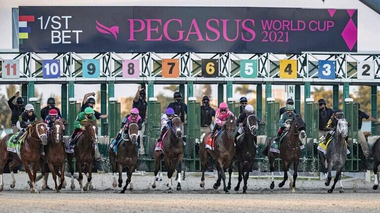 Photo Gallery: Pegasus World Cup Invitational | Saturday, January 23, 2021