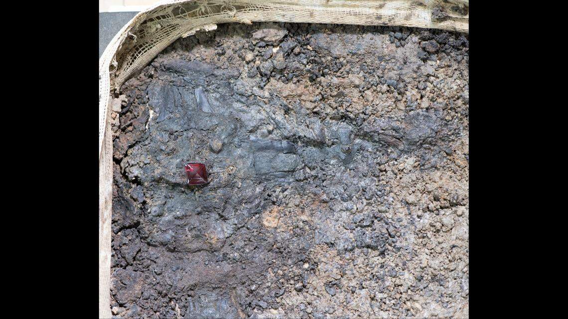 Experts “micro-excavated” a square of soil to discover the cross, officials said.