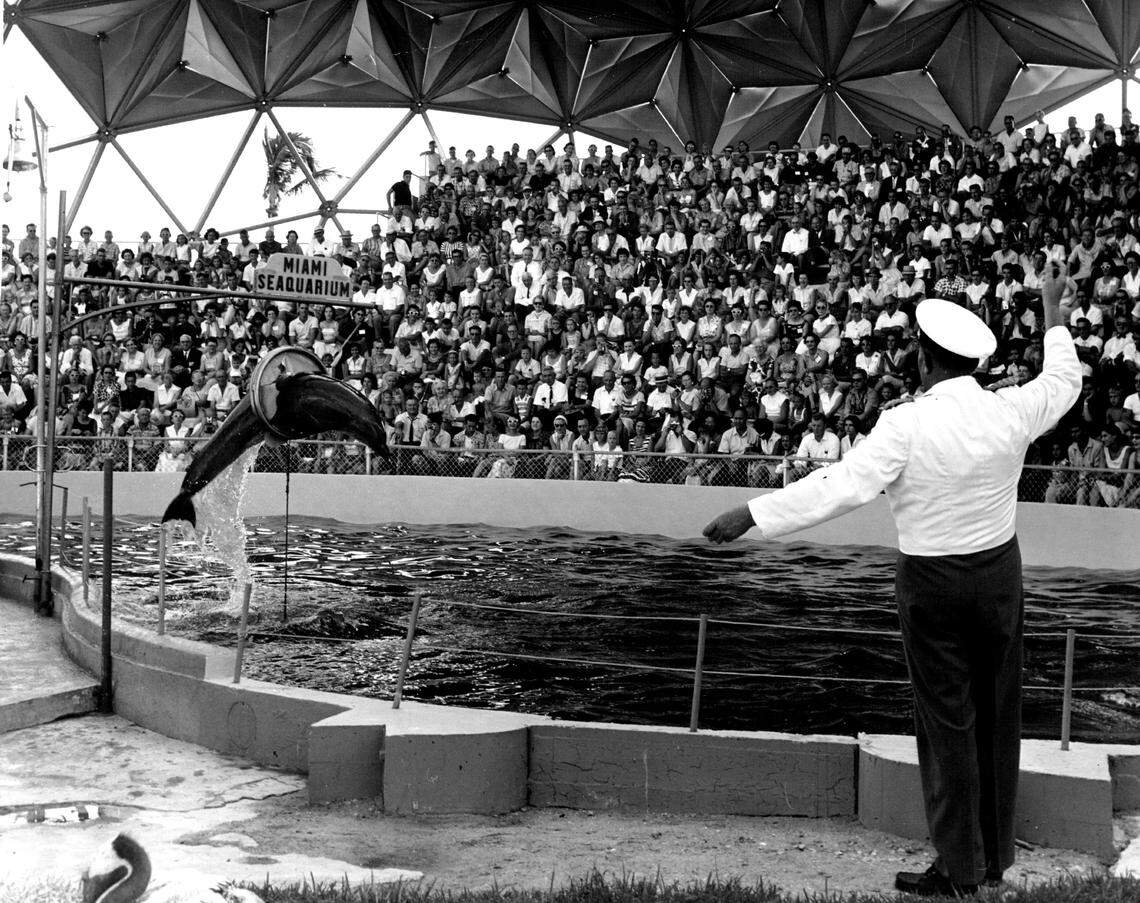 Crowds at the Seaquarium.