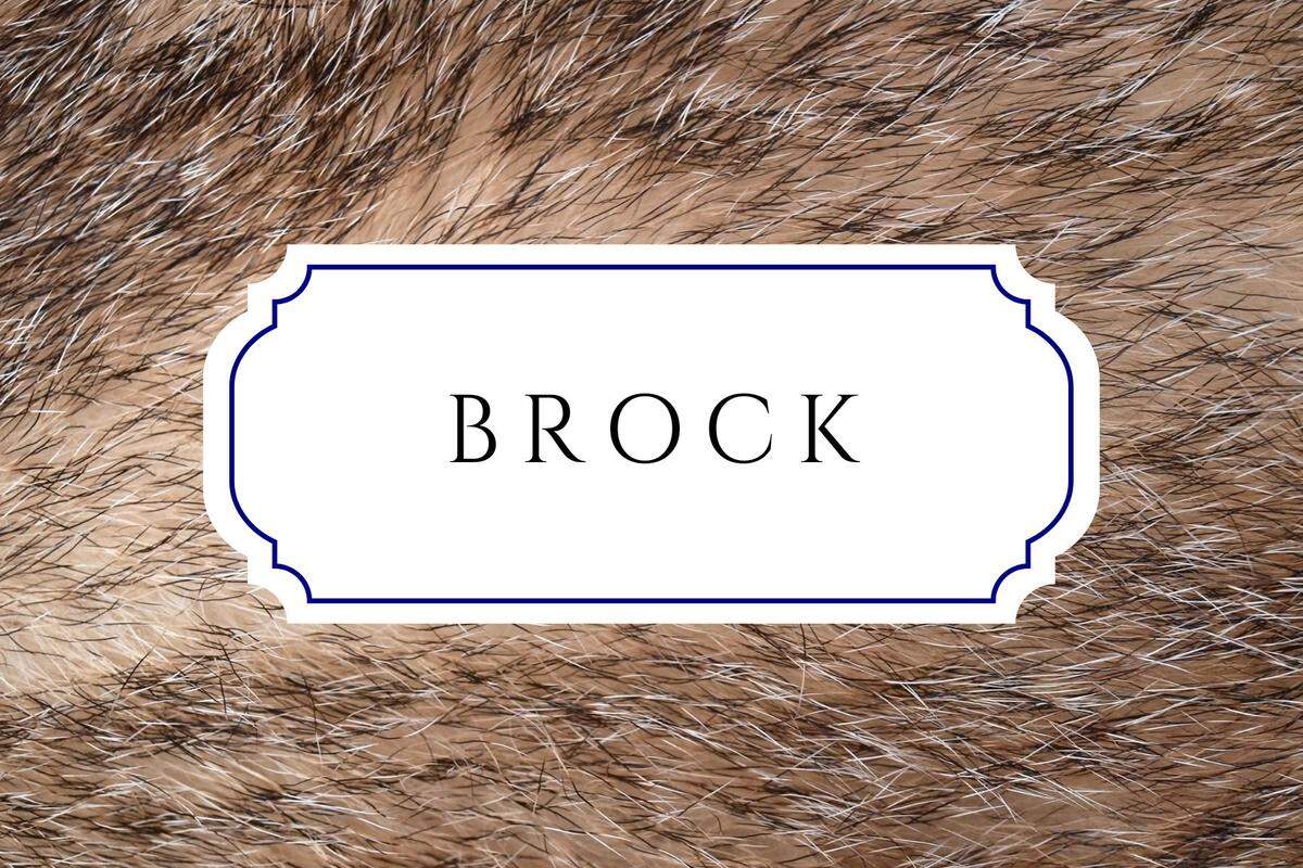 unique nature names brock