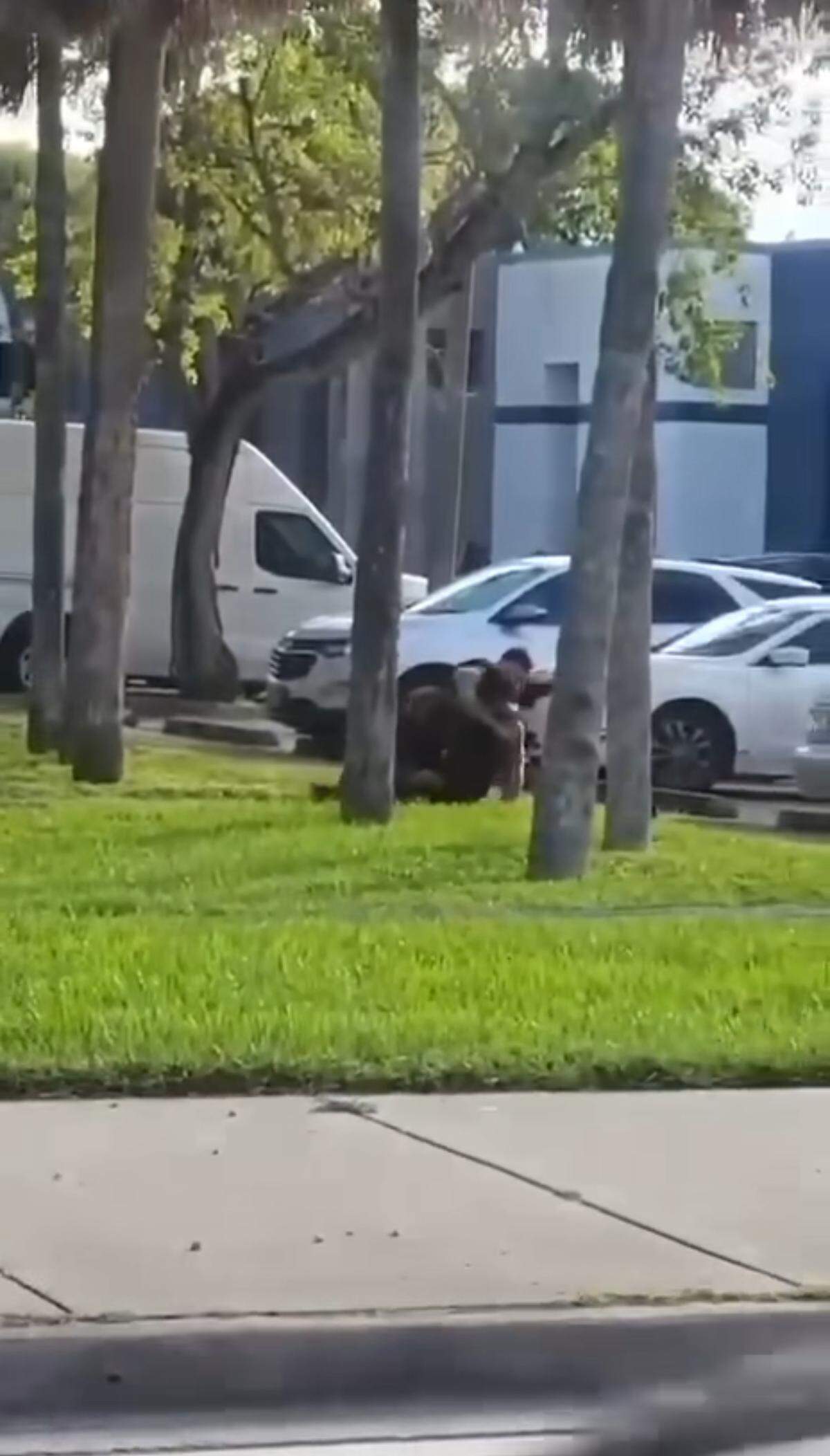 Deputy Devin Jaramillo, 27, was working a traffic crash when he was shot and killed by a man Friday afternoon, the Miami-Dade Sheriff’s Office said. Moments before his death, video shows him struggling with the unidentified shooter.