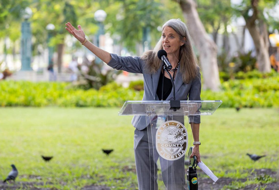 Miami-Dade Chief Heat Officer Jane Gilbert speaks during the heat season press conference.