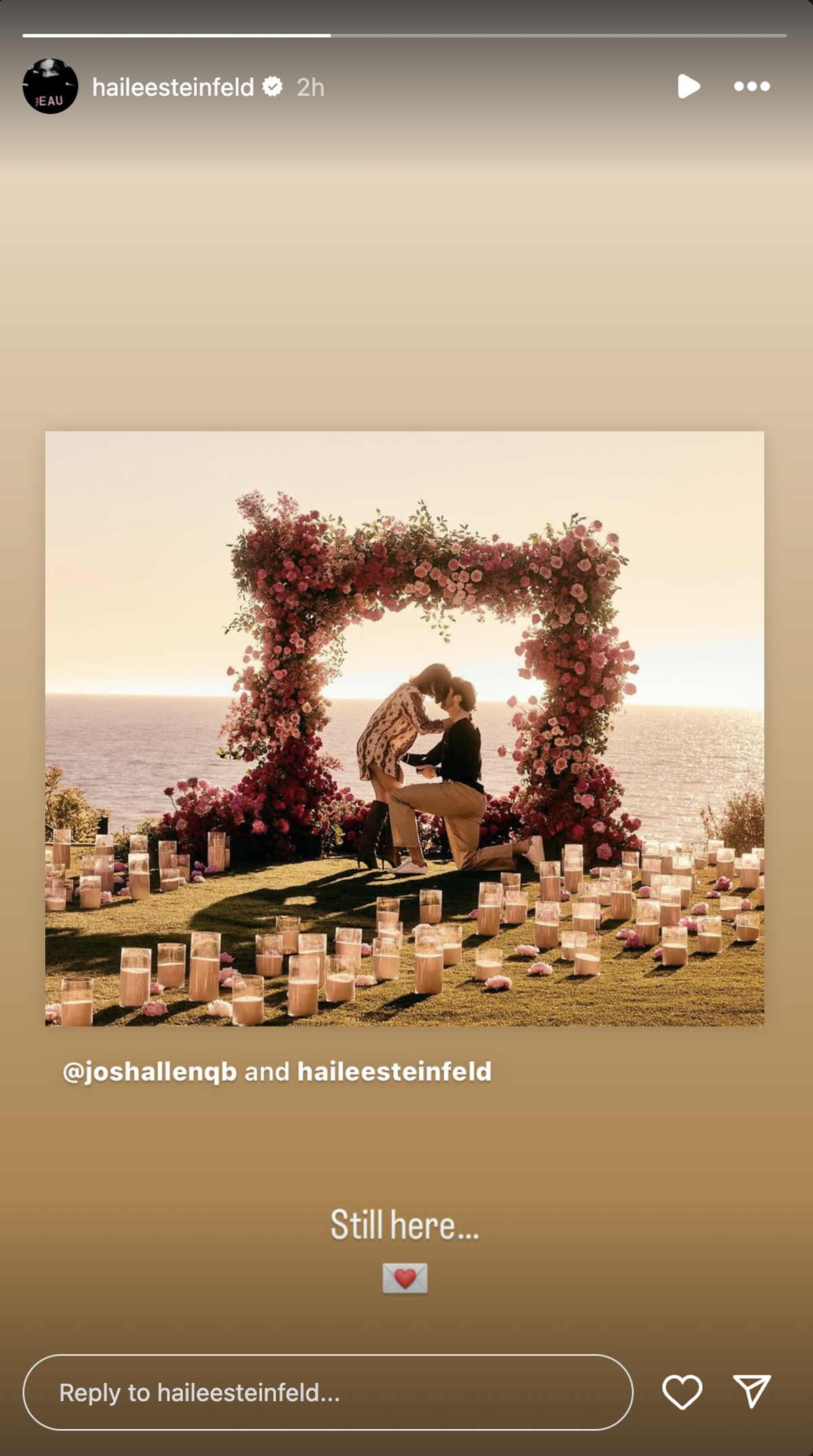Hailee Steinfeld shares brief statement after engagement to Josh Allen.