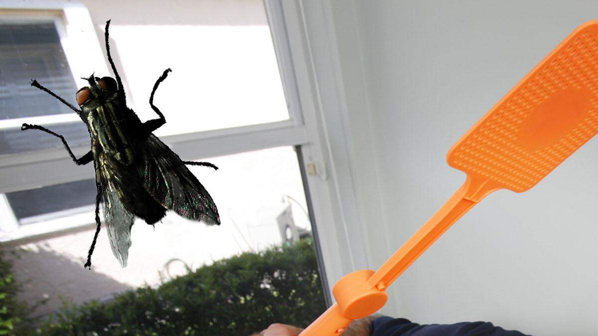 Talking Fly Swatter