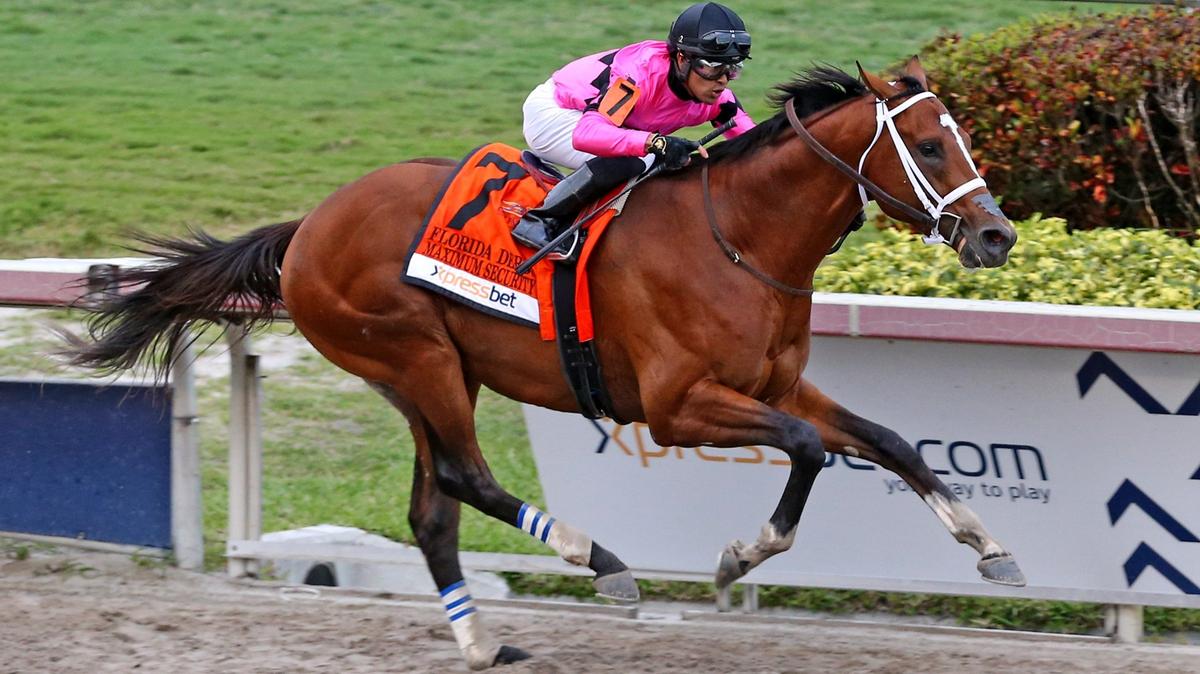Jockey Luis Saez rides Maximum Security (7) to the finish line to win the Florida Derby at Gulfstream Park in Hallandale Beach, Florida, Saturday, March, 30, 2019.