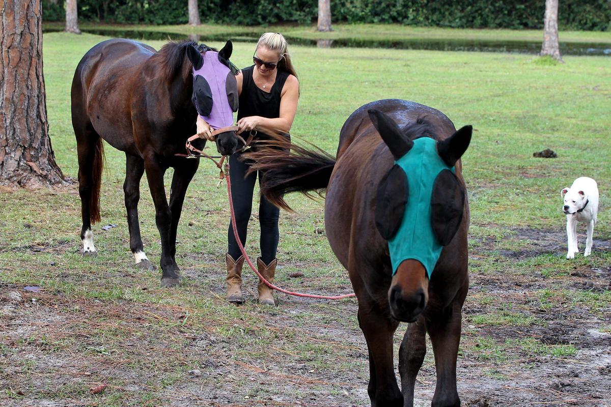 Now retired and living in South Florida, Faulkner spends part of her time volunteering at Aurelia’s Animal Sanctuary in Jupiter, taking care of rescued animals, including horses, emus, turtles, dogs and peacocks.
