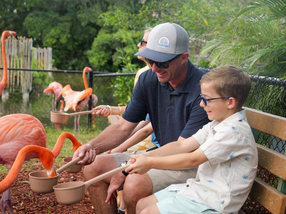 Mingle with flamingos at Lion Country Safari as you feed them and capture the perfect summer photo.