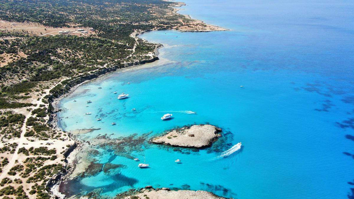 On the Mediterranean island of Cyprus, beachgoers were in for a shock when a giant water bug started to appear along the shore, researchers said.