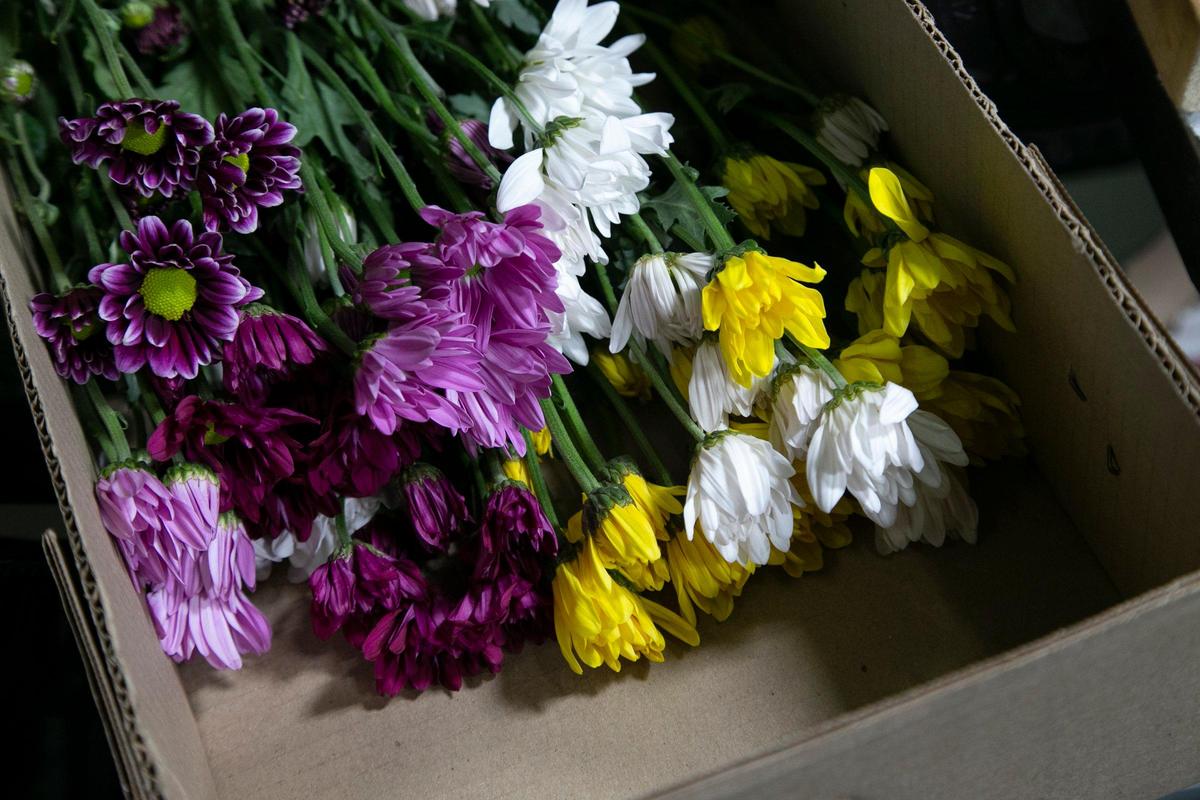 Boxed flowers in the cooler at Florida Beauty Flora, Inc. warehouse in Miami.