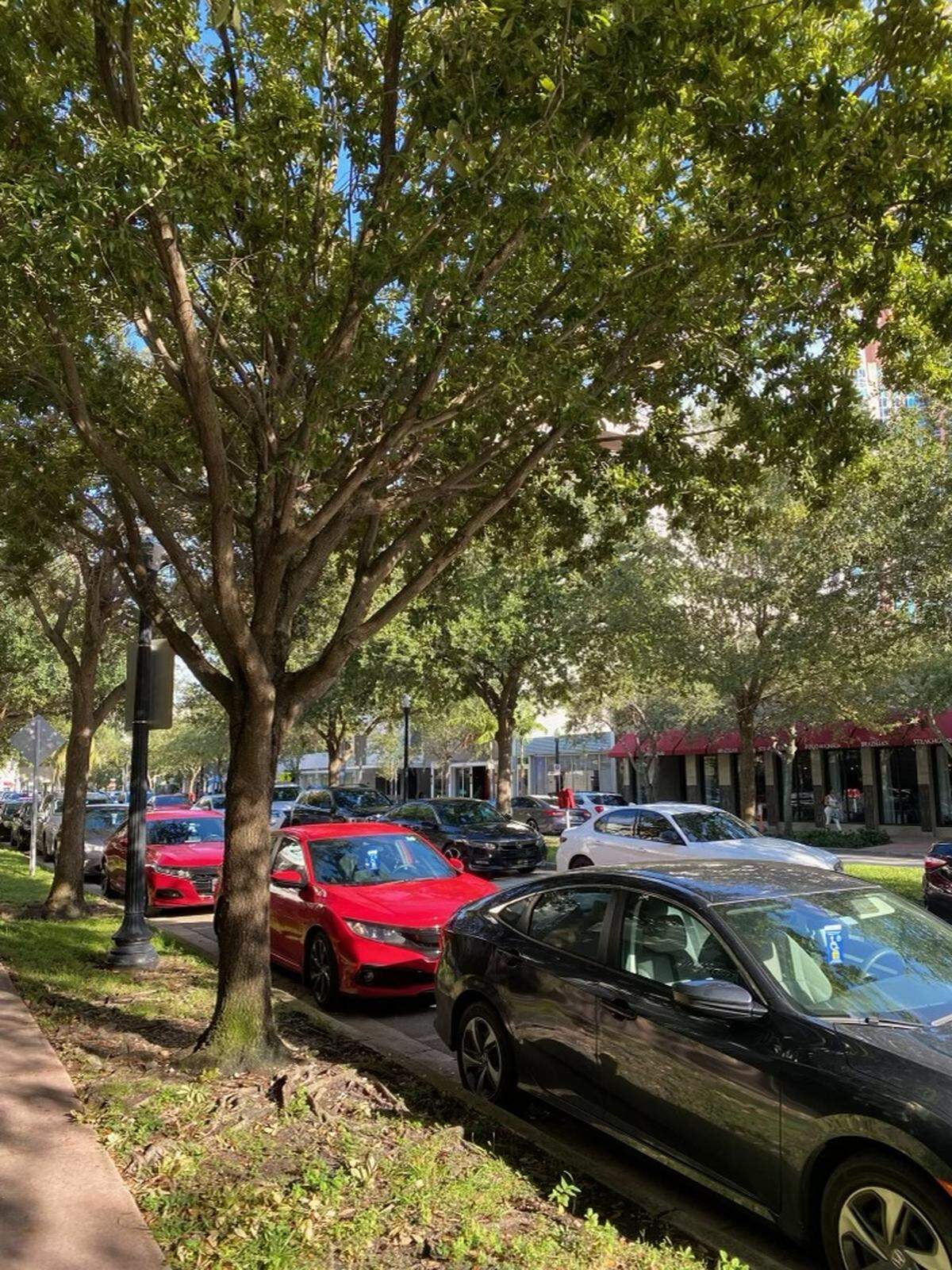 After South of Fifth residents and Miami Beach officials expressed concern that restaurant and valet workers are abusing disabled parking permits for free parking, the city is considering changing a policy that allows anyone with a disabled parking permit to park in resident-only spots. Miami Beach Police confiscated 14 disabled parking permits and issued 9 criminal citations in the South of Fifth neighborhood in November.