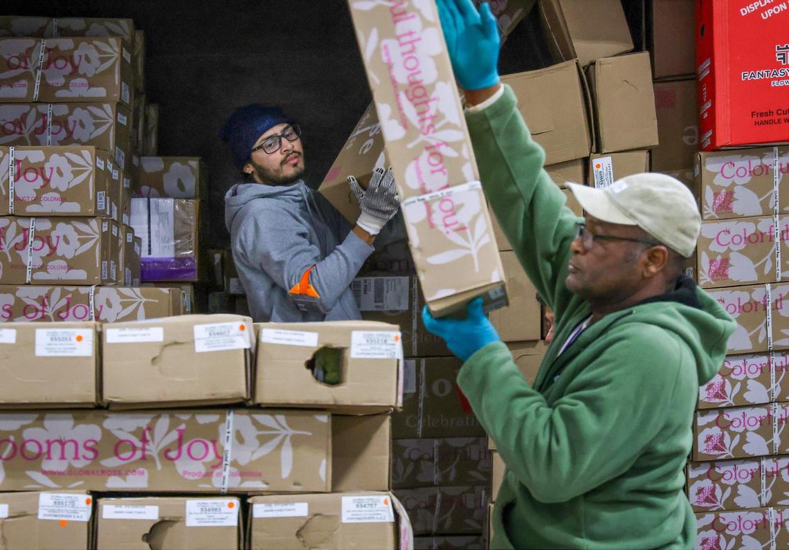 Inside the FedEx 70,000 square feet “Cold Room” workers remove thousands of boxes of flowers off of pallets as significant shipment of flowers from Colombia and Ecuador arrived at the FedEx Cargo Hub at Miami International Airport, as local florists and distributors prepare for Valentine’s Day on February 12, 2025. Notably, only 2% of the shipments are inspected by U.S. Customs Agricultural Specialists in order to ensure pest management and the quality of floral and plant shipments.